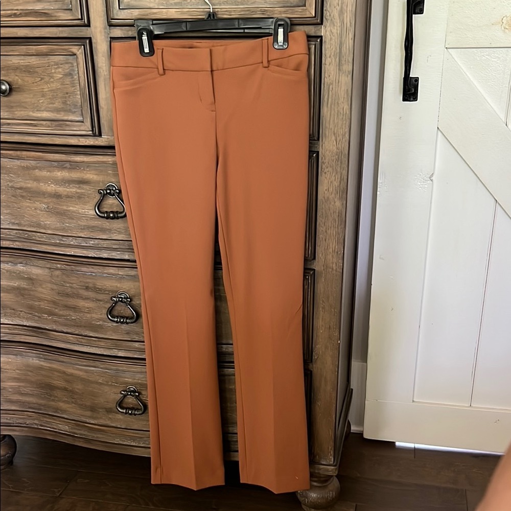 Express Columnist Pants